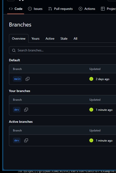 Github repository with added branches